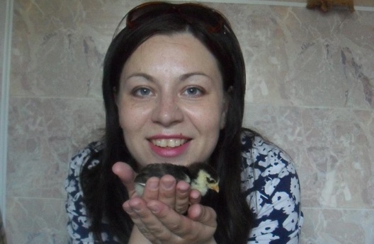 �������� ������������ ���� ������� ���������